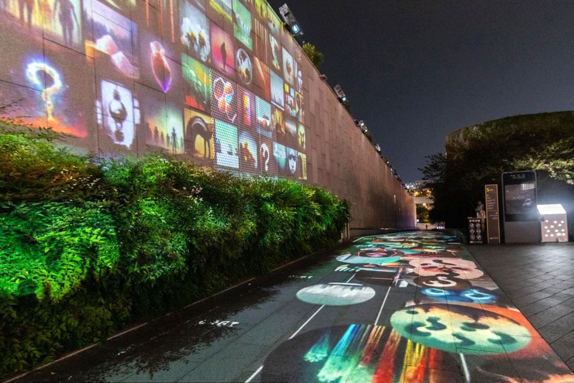 Everything is Connected by Digital Serotonin at Asia Culture Center(ACC) Fire Foad, 2022